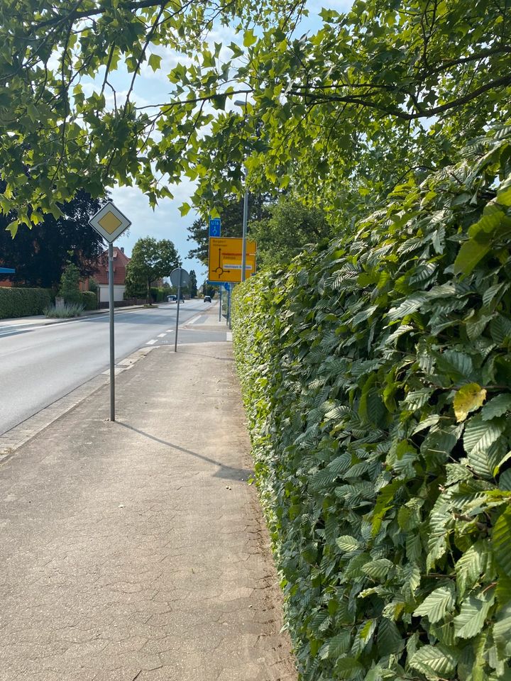 Hecke schneiden ✅ Strauchschnitt ✅ uvm. in Edemissen