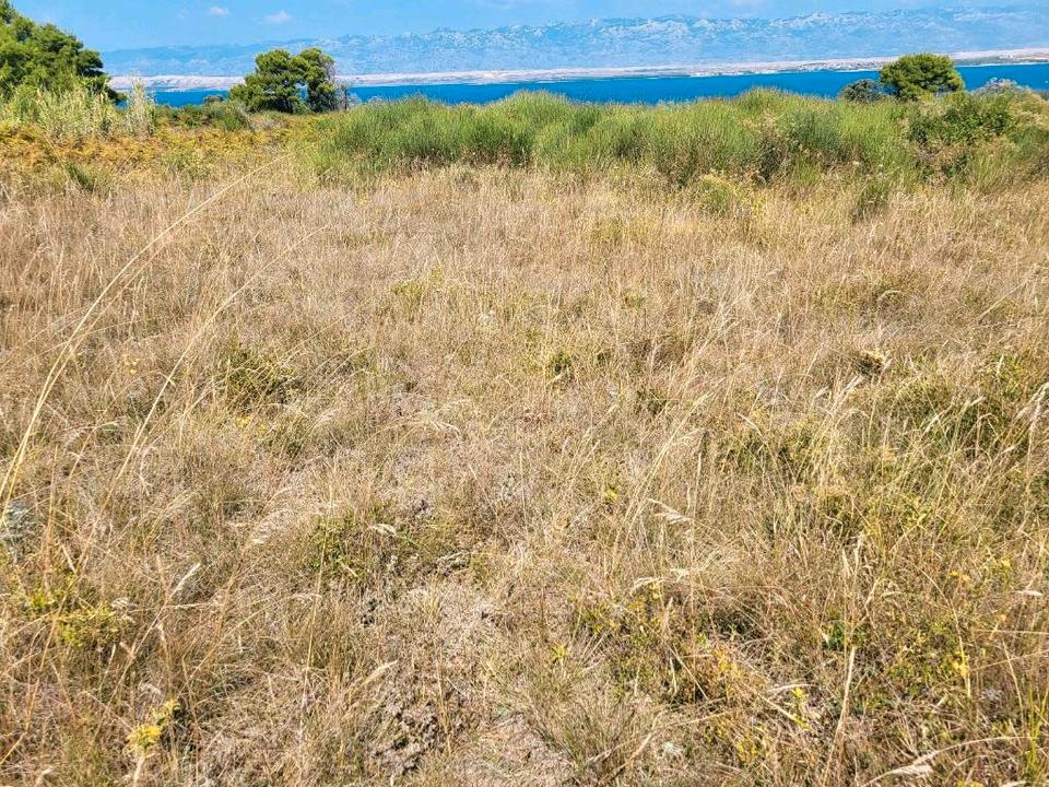 Landgrundstück 300m Strand,Vir(Zadar)Kroatien,tausch gegen auto in Augsburg