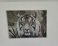 TIGER Bild auf Leinwand Bayern - Lenting Vorschau