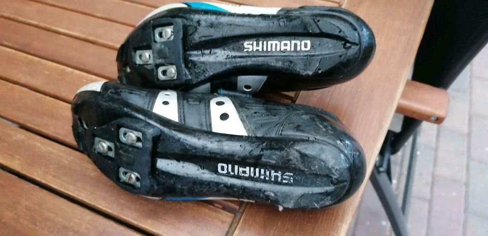 Shimano Rennradschuhe in Bitterfeld