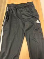 Adidas Jogginghose Düsseldorf - Pempelfort Vorschau