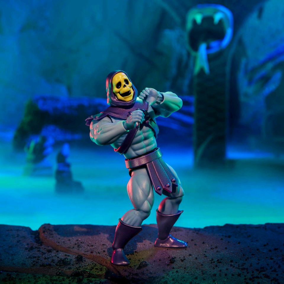 Skeletor x VeeFriends Skilled Skeleton 2Pack MOTU ORIGINS MASTERS in Kirchgandern