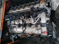 Mercedes w140 600se 12 zylinder motor Duisburg - Duisburg-Süd Vorschau