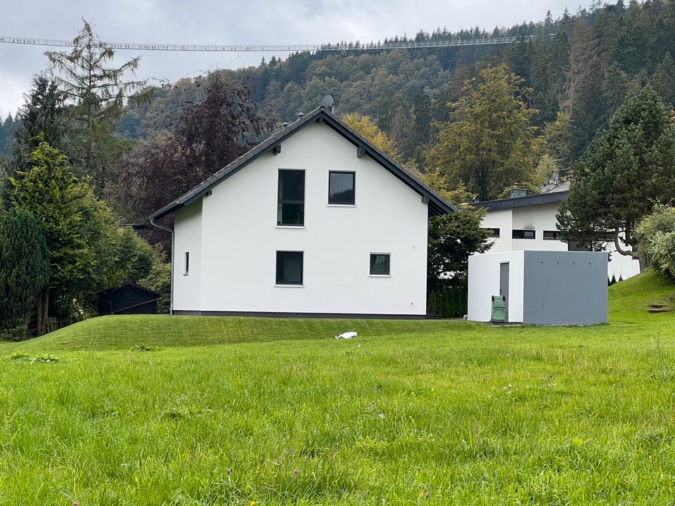 **RESERVIERT**wunderschönes Haus in Willingen in Willingen (Upland)