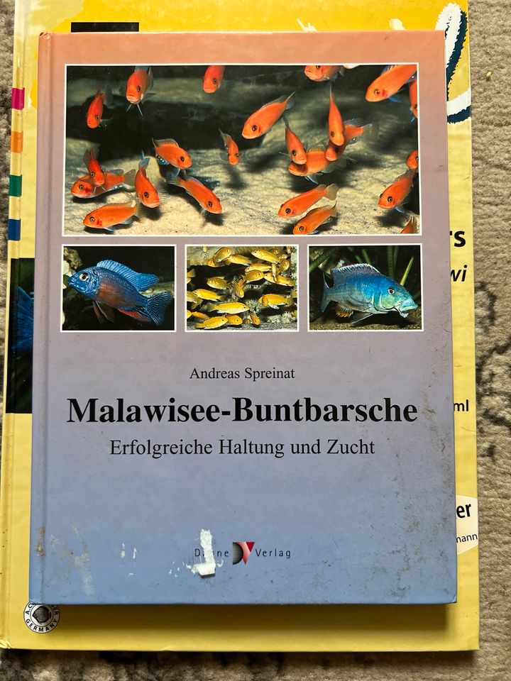 Aquarium Bücher bunt Barsche in Elsteraue