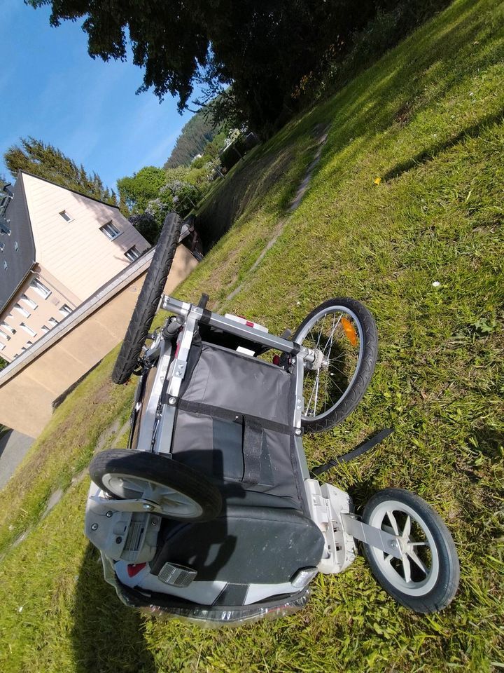 Fahrradanhänger/ Kinderkutsche Chariot Cougars für 1 Kind in Annaberg-Buchholz