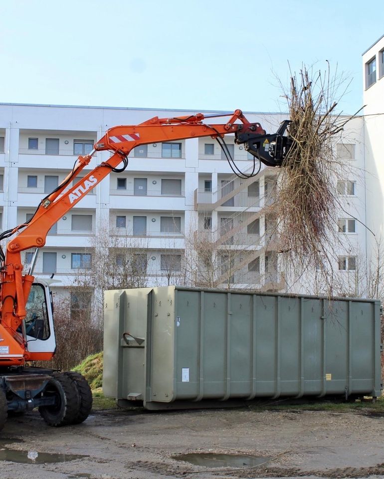 Baumfällungen/Baumpflege/Rodungen/Fällgreifer/Baum/Fichte/Tanne in Regenstauf