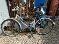 DDR  Fahrrad, 75 Jahre Diamant, 26 Zoll, Damenfahrrad Sachsen - Stolpen Vorschau