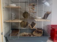 Kleintierkäfig für Hamster o. Mäuse + viel Zubehör❗️In CLAUSEN❗️ Rheinland-Pfalz - Heltersberg Vorschau
