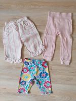 Legging Capri-Hosen Sommer 3er Pack Gr. 74 - 80 Sachsen - Waldheim Vorschau