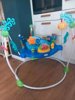 Spiel-und Hüpfcenter Babyhopser Baby bouncer Baby einstein Sachsen - Zwickau Vorschau