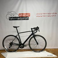 LAPIERRE Sensium 3.0   55 und 58cm  (UVP €1299,-) Nordrhein-Westfalen - Emmerich am Rhein Vorschau