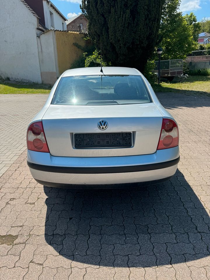 Volkswagen Passat in Kirchheimbolanden