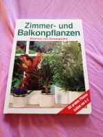 Buch Zimmer und Balkonpflanzen Niedersachsen - Lastrup Vorschau