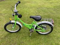 Puky Fahrrad 16 Zoll grün Niedersachsen - Munster Vorschau