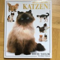 Katzen Großes Katzenbuch Taylor Rassen Handbuch Haltung Pflege Berlin - Hohenschönhausen Vorschau