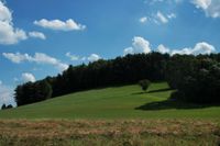 Suche Brachfläche, Wald, auch abgeerntete Flächen, Rückpacht mögl Bayern - Prebitz Vorschau