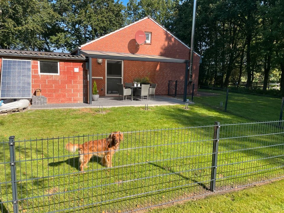 Urlaub mit Hund an der Nordsee Ostfriesland in Hage