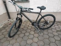 Mifa 28 Zoll Mountainbike Fahrrad Nordrhein-Westfalen - Detmold Vorschau