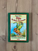 Kinderbuch „Flitz der kleine Dino“ Sachsen - Stolpen Vorschau