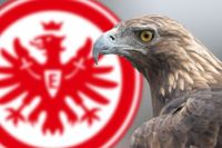 Tausche DK Eintracht Frankfurt Hessen - Butzbach Vorschau