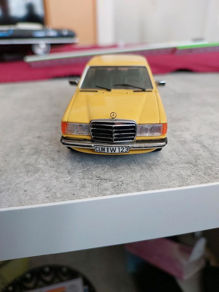 Minichamps Mercedes in Pforzheim