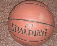 Spalding Basketball  Bayern - Aschaffenburg Vorschau