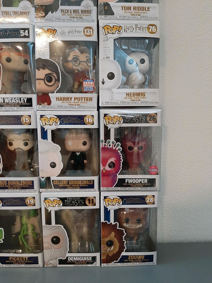 Funko Pop Harry Potter und Fantastische Tierwesen, Sammlung in Waldalgesheim