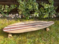 Globe Longboard Frühling Sommer Hessen - Vöhl Vorschau