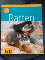 Tierratgeber Ratten Dresden - Niedersedlitz Vorschau