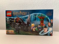 LEGO® Harry Potter™ 76400 Kutsche mit Thestralen NEU für 15€* Rheinland-Pfalz - Ruppach-Goldhausen Vorschau