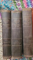 Lehrbuch des Bürgerlichen Rechts, 1928 3 Bücher - 1.1  1.2 u. 2 Brandenburg - Cottbus Vorschau