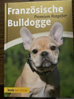 Das Buch Französische Bulldogge Hessen - Hirschhorn (Neckar) Vorschau