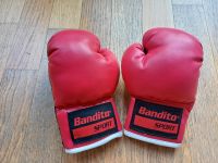 Bandito KiddyStar Boxhandschuhe  3-6 Jahre Eimsbüttel - Hamburg Lokstedt Vorschau