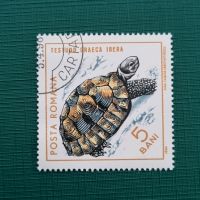 Schildkröte Landschildkröte Testudo oraeca Briefmarke #0990 Niedersachsen - Aurich Vorschau