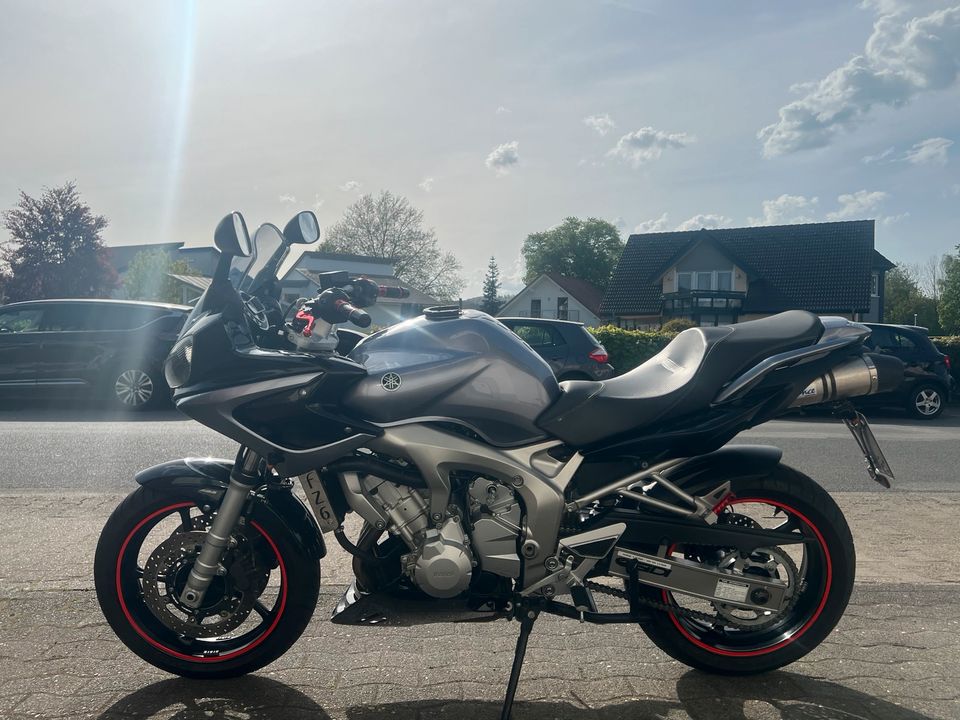 Yamaha FZ6 SA, ABS, erst 15tkm, LeoVince SHAD Gelsitz Extras in Michelstadt