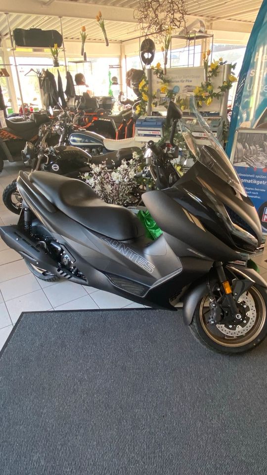 NEU 350ccm Maxi Scooter Zontes 350E 350er Groß Roller in Obersulm