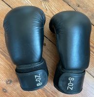 Boxhandschuhe Brandenburg - Potsdam Vorschau