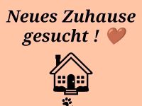 Suche Wohnung Nordrhein-Westfalen - Velen Vorschau