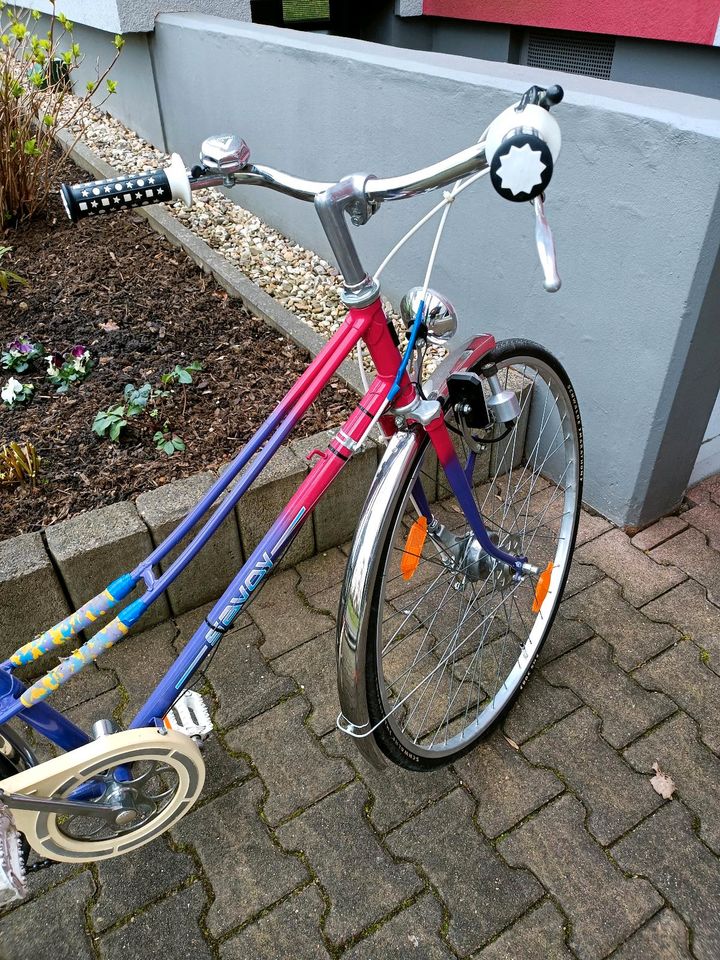 Damen Fahrrad in Dortmund