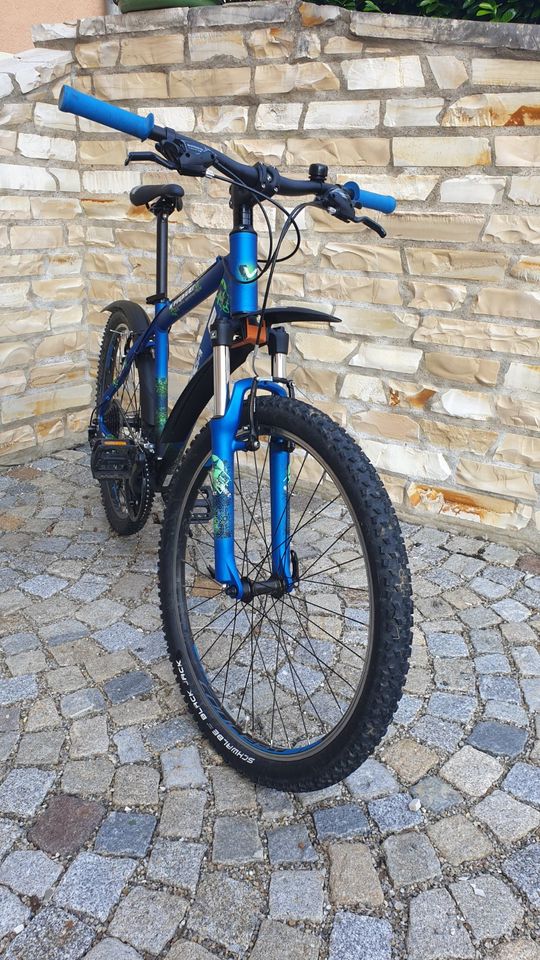 Univega X Fighter Mountainbike 26 Zoll Kinder Herren in Buxheim