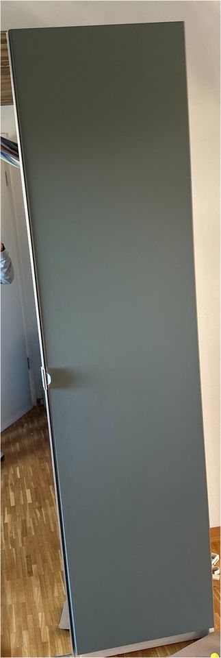 Ikea 2x PAX REINSVOLL Tür, graugrün 195x 50 cm in Hamburg