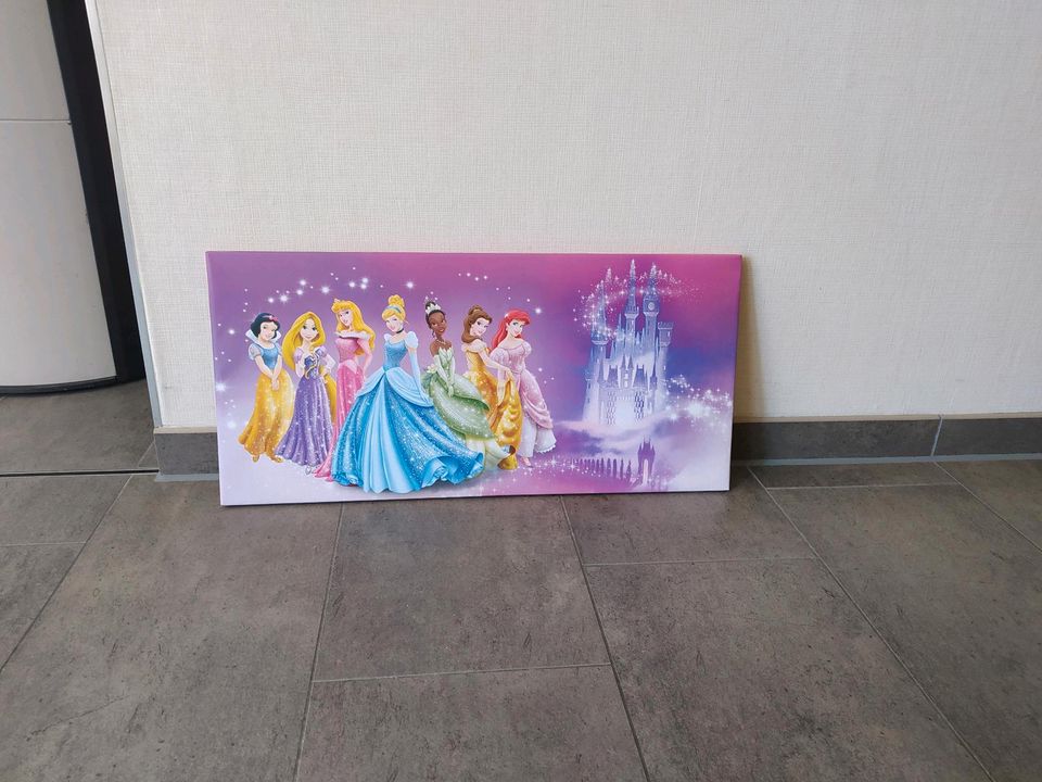 Wandbild Disney Prinzessinnen 34 x 70 cm in Wolfenbüttel