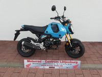 HONDA MSX 125 Grom  ABS Schleswig-Holstein - Lütjenburg Vorschau