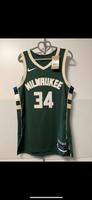 NBA Trikot Authentic Nike Antetokounmpo Bucks M neu Niedersachsen - Lingen (Ems) Vorschau