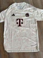 FC Bayern München 3.Trikot Kane Saison 23/24 Größe M Baden-Württemberg - Baiersbronn Vorschau