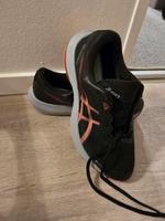 Asics  Goretex Bayern - Königsbrunn Vorschau