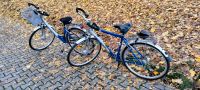 2 Fahrräder / Citybikes Thüringen - Körner Vorschau