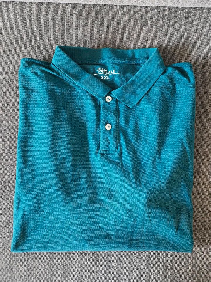 Herren Poloshirt in Türkis 3XL in Bamberg