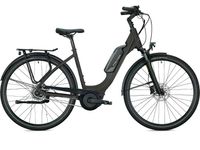 %%% E-Bike Falter E 9.3 RT NEU Rücktritt RH 43 Sachsen-Anhalt - Merseburg Vorschau